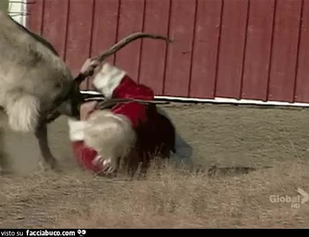 E pensare che tra 5 mesi è quasi Natale, siate buoni, che Babbo è già un po' nervosetto, pure Rudolph