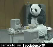 gif animata