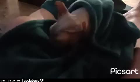 Gif Animata