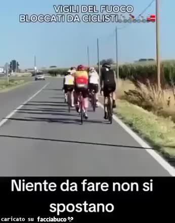 Teste di minchia senza speranza