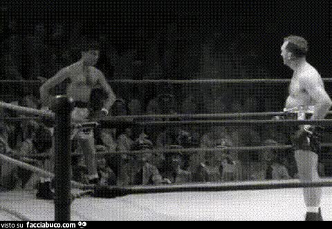 gif animata