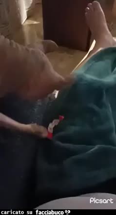 Gif Animata