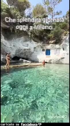 Gif Animata