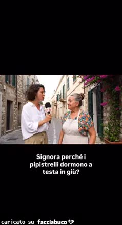 Gif Animata