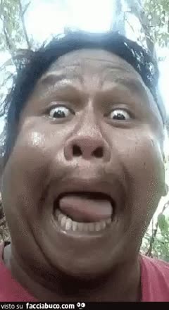 gif animata