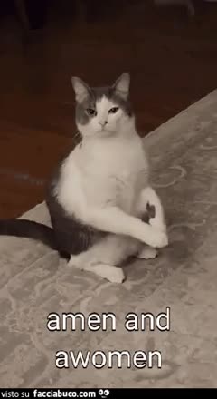 gif animata