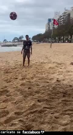 Gif Animata