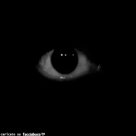 gif animata