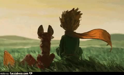 gif animata