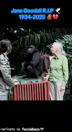 Gif Animata