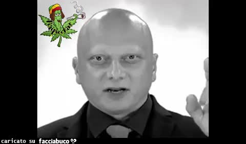 Gif Animata