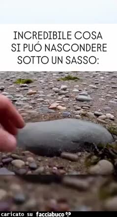 Gif Animata