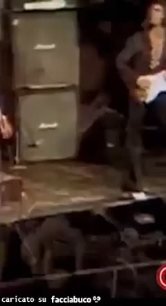 Gif Animata