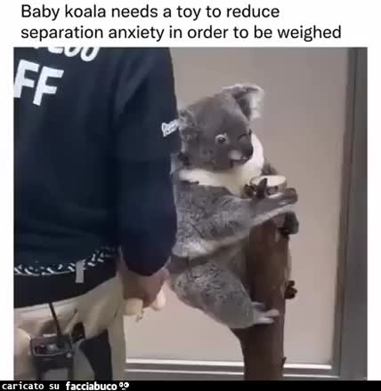 Gif Animata