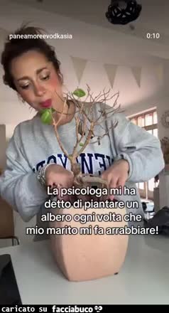 Albero