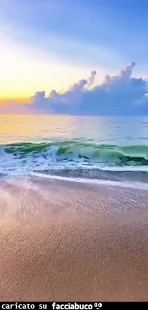 Gif Animata