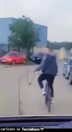 Gif Animata