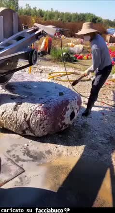 Gif Animata