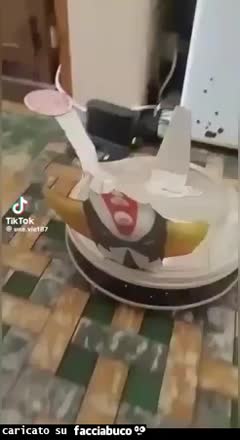 Gif Animata