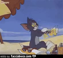 gif animata