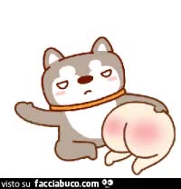 gif animata