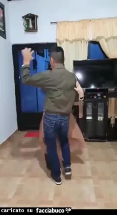 Gif Animata