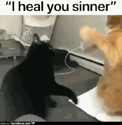 gif animata