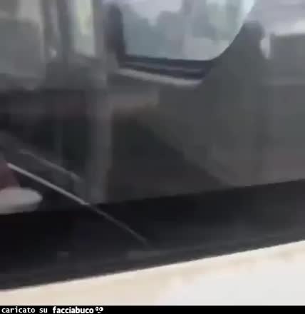 Gif Animata
