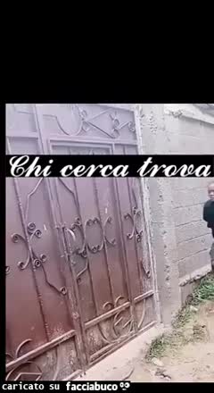 Gif Animata