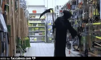 gif animata