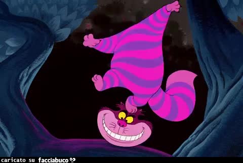 gif animata