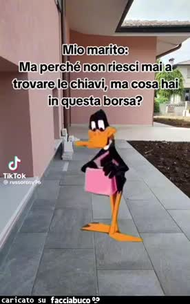 Mio marito ma perché non riesci mai a trovare le chiavi cos'hai nella borsa duffy duck