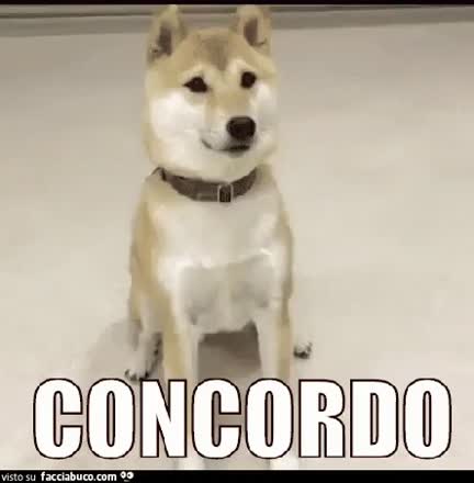 gif animata