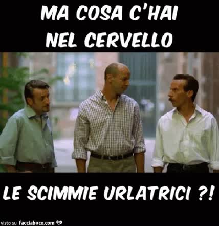 gif animata