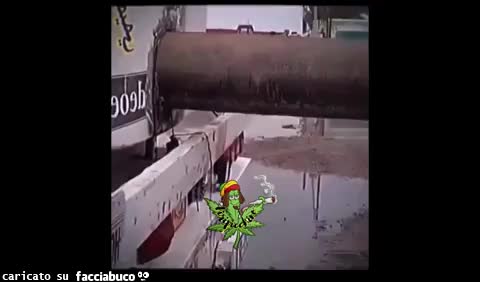 Gif Animata