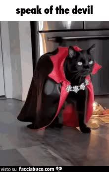 gif animata
