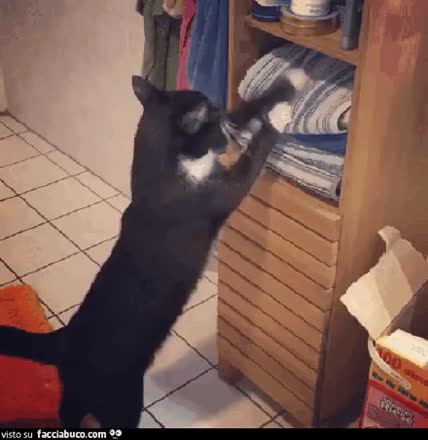 Eppure sono sicuro di averlo messo qui