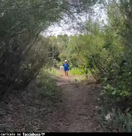 Gif Animata