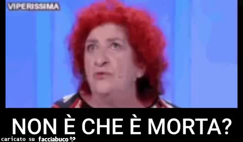 gif animata