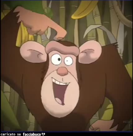 gif animata