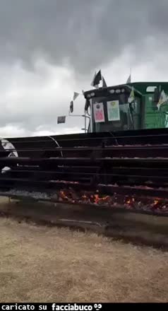 Gif Animata