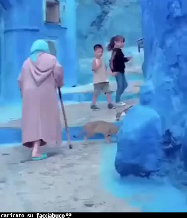 Gif Animata