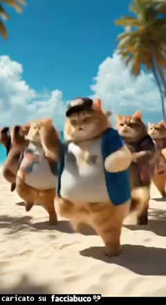Gif Animata