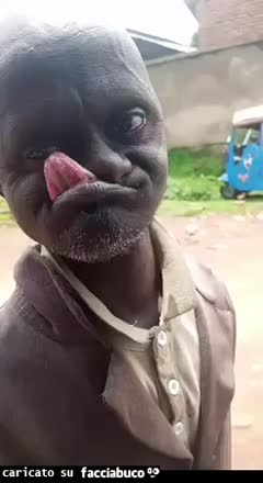 gif animata