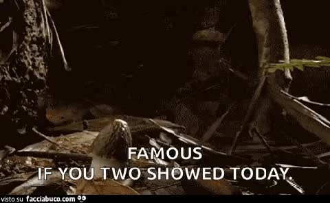 gif animata