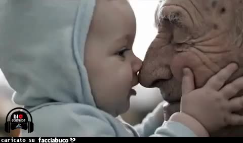 Gif Animata