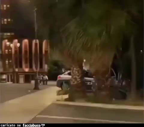 Gif Animata