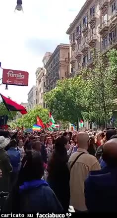 Gif Animata