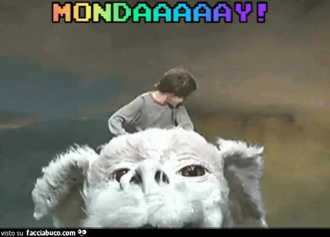 gif animata
