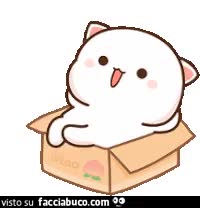 gif animata